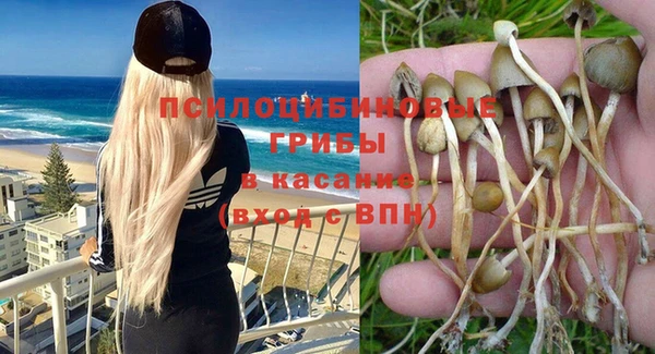 PSILOCYBIN Волосово