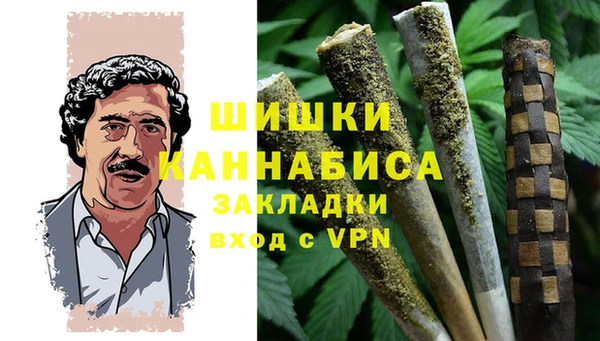 PSILOCYBIN Волосово