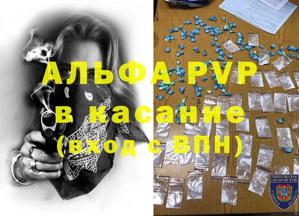 PSILOCYBIN Волосово
