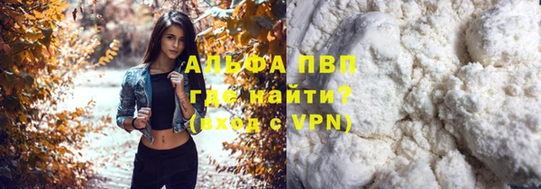 стафф Волоколамск