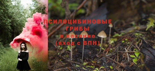 стафф Волоколамск