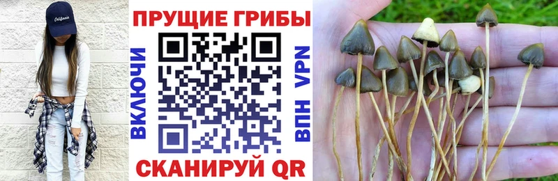 МЕГА онион  Духовщина  Галлюциногенные грибы GOLDEN TEACHER  где можно купить наркотик 