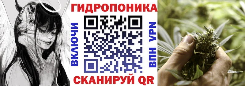Каннабис ГИДРОПОН  Духовщина 